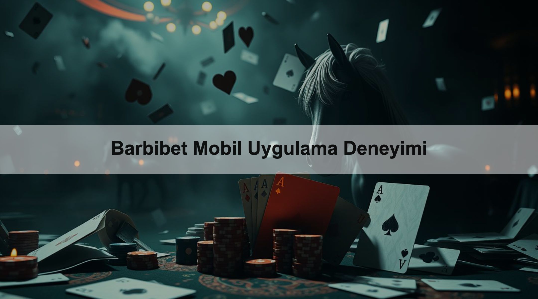 Barbibet Mobil Uygulama Deneyimi