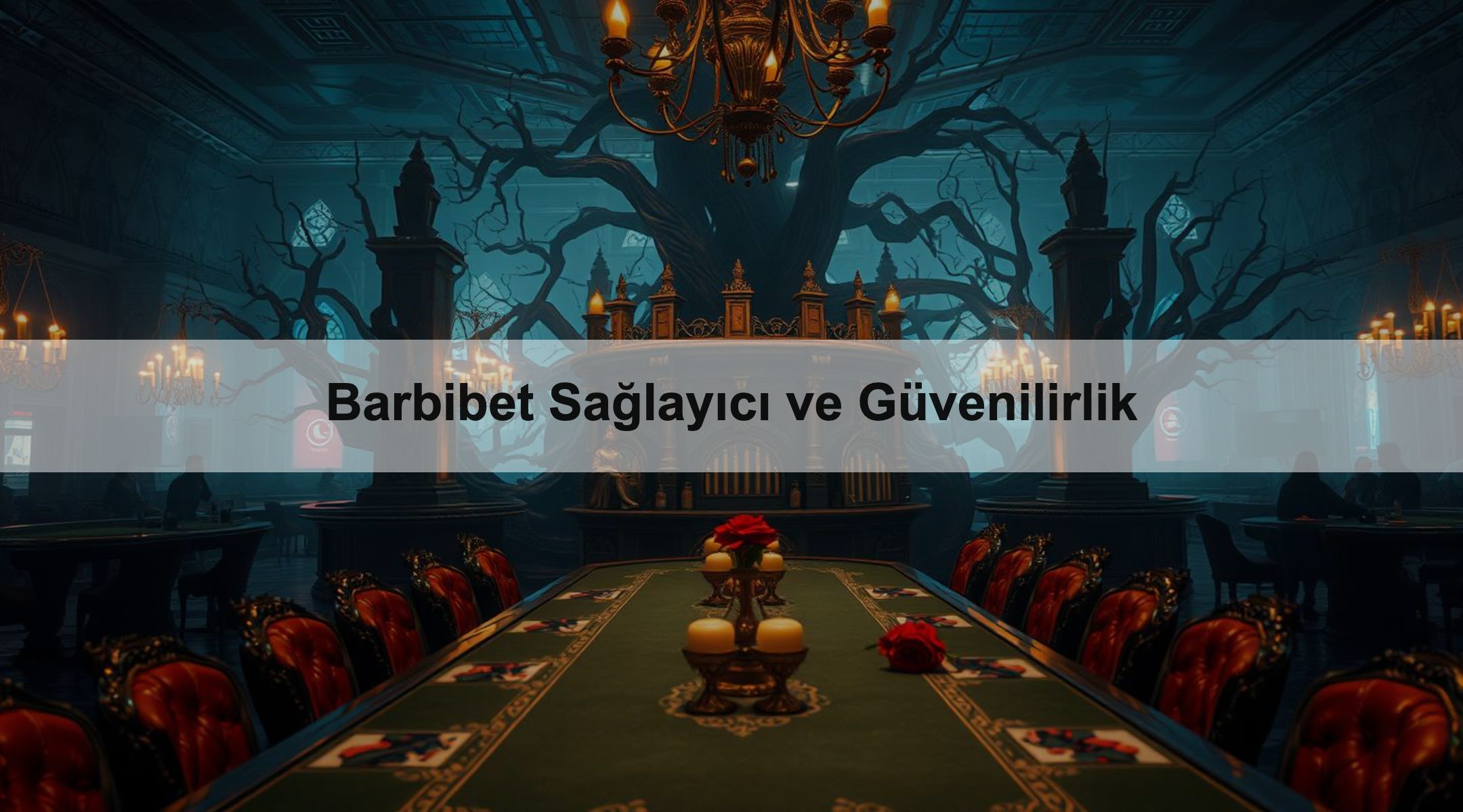 Barbibet Sağlayıcı ve Güvenilirlik